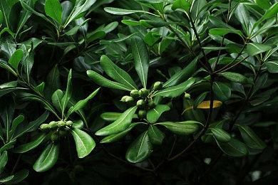 B站就“自动续费提前三天扣款”回应：马上改