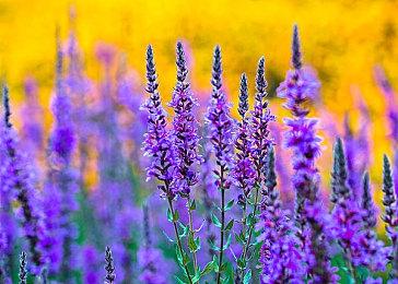 E3 2021：太空模拟建造《Ixion》2022年登陆PC